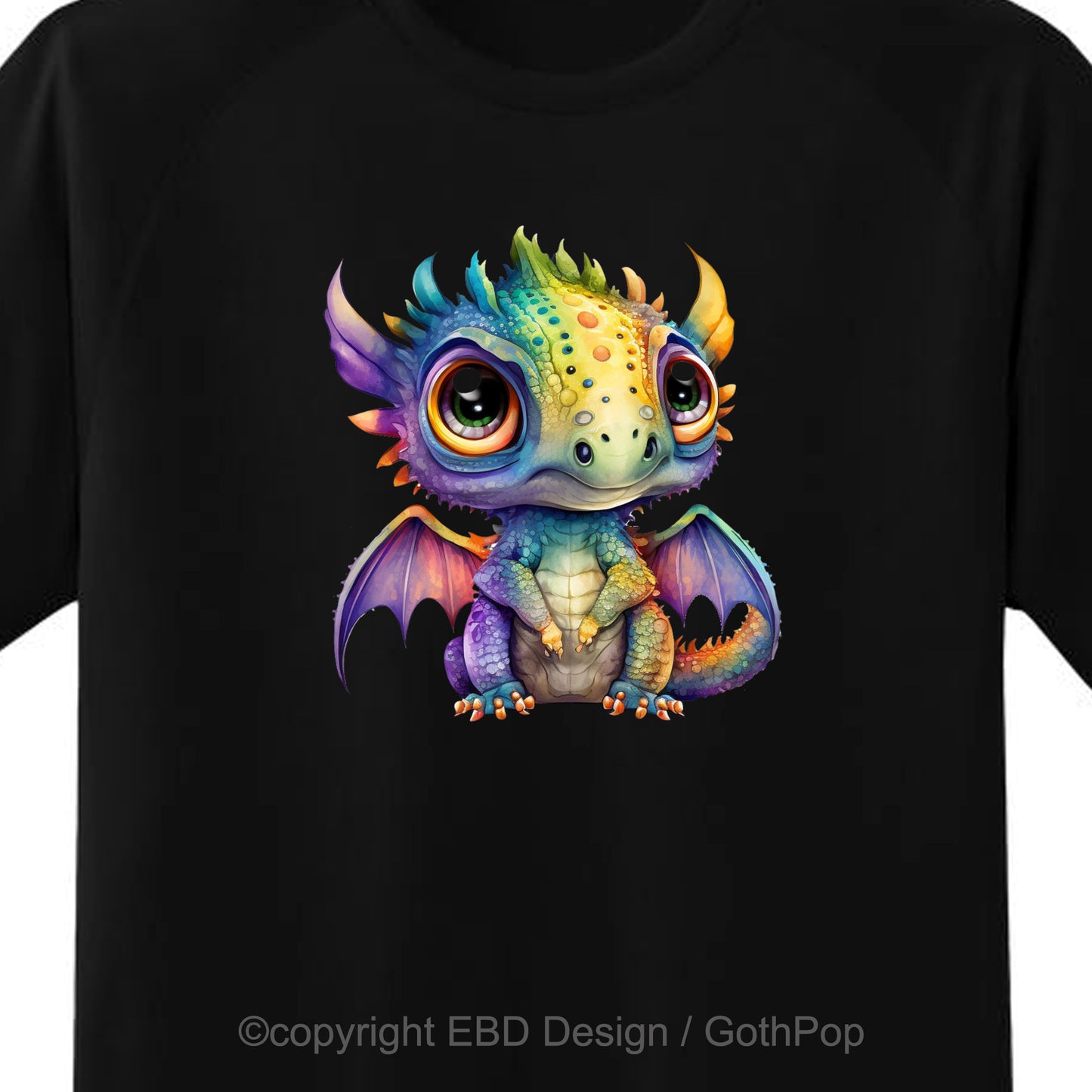 Baby Dragon Rainbow T Shirt and More